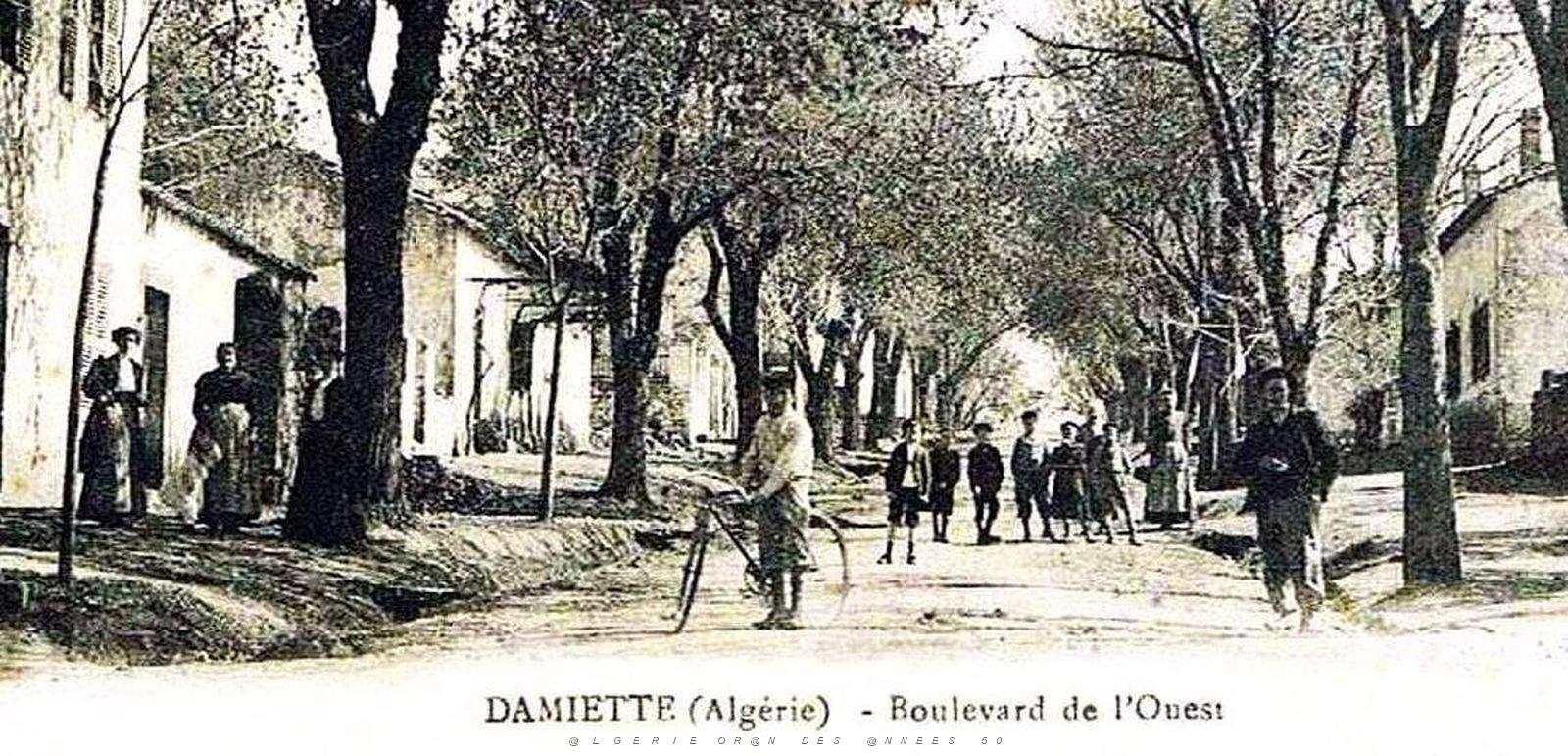 1285- Damiette - Medea - Boulevard de l'Ouest 2.jpg
